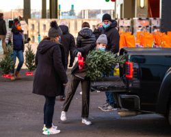 Volunteers loading a Christmas tree into a truck in part of the Holiday Assistance programs